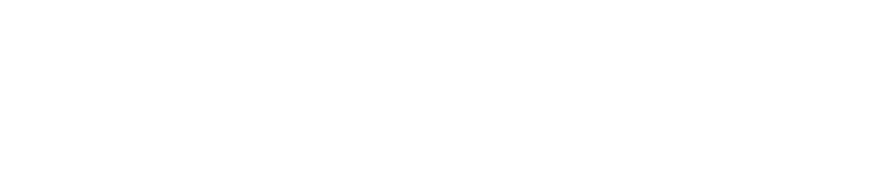NettWork Global